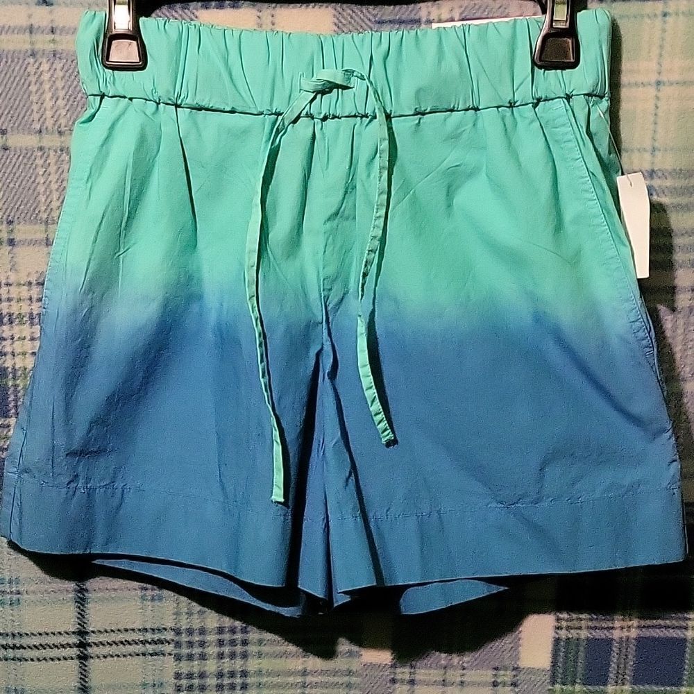 Aqua and Teal Ombre High Waist Women's Shorts